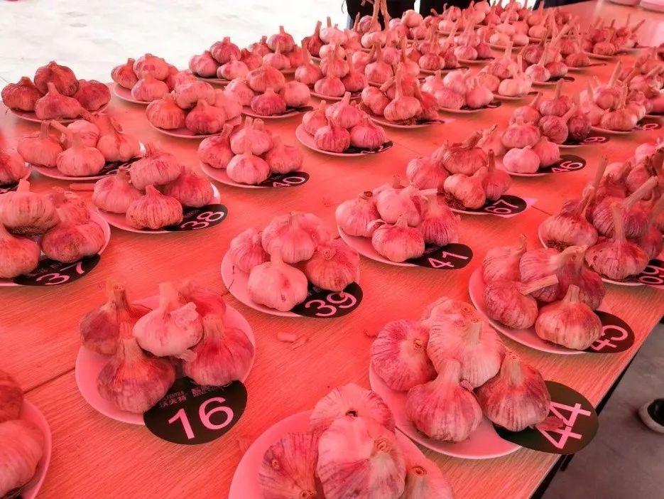 沃夫特复合肥最新价格发布