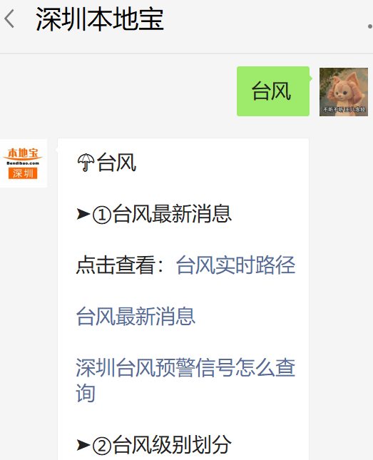深圳最新台风动态