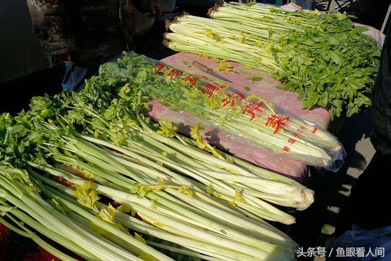 市政设施管理 第44页