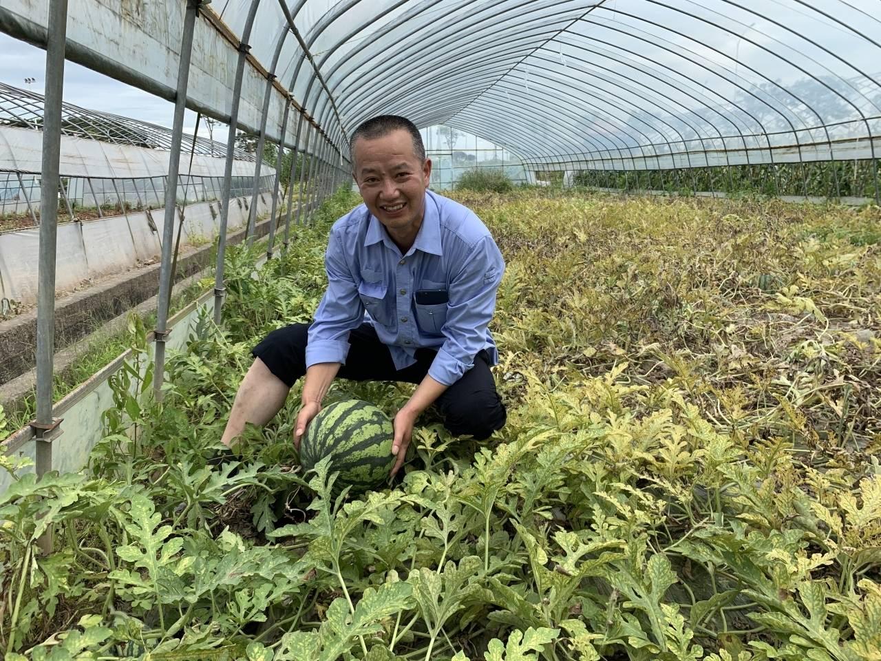 北仑上市公司有那些