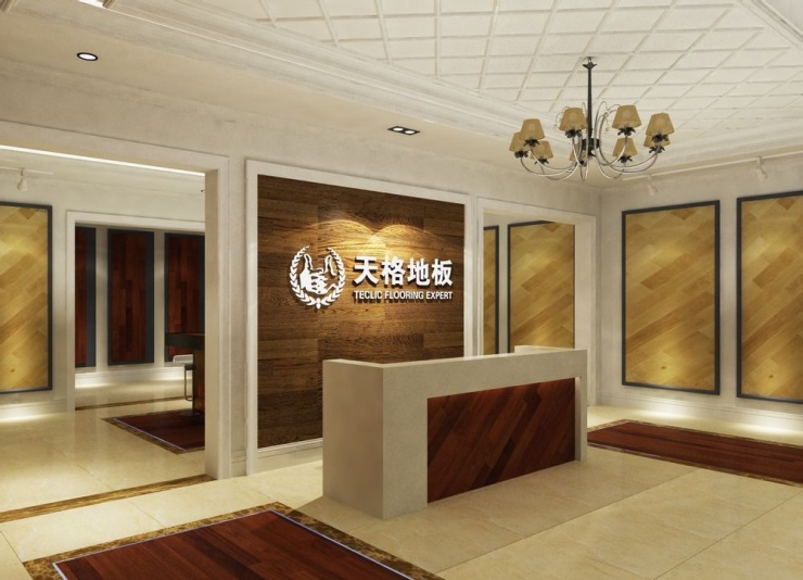 天格地板价格揭秘，小巷中的独特宝藏与地板价格行情分析