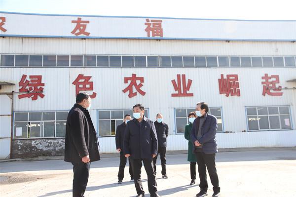 太康县王国玺最新动态详解,初学者与进阶用户的步骤指南