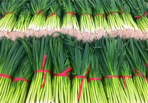 蒜苗最新行情详解，如何获取并分析市场行情的攻略与策略