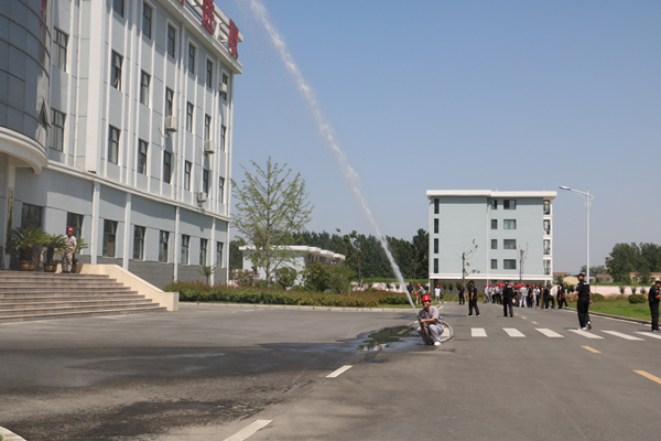 司尔特最新动态引领行业创新,塑造未来趋势,展望发展前沿