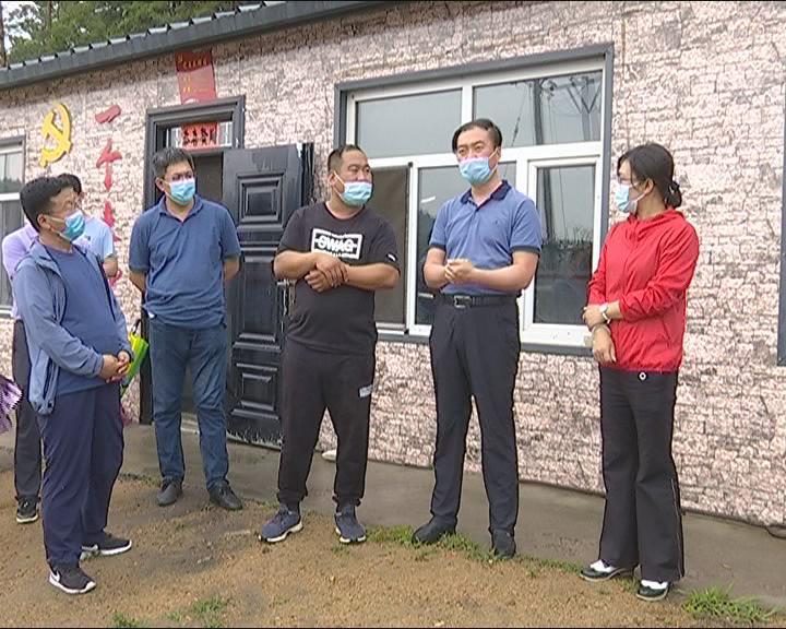 鹅蛋行情与美景探索，一场自然之旅