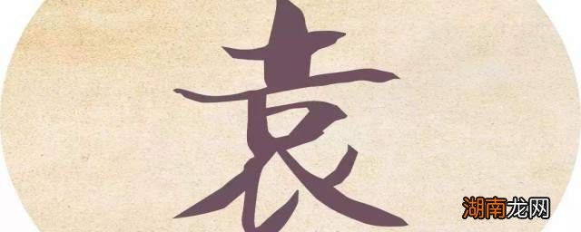 袁姓男演员,演艺界的耀眼之星