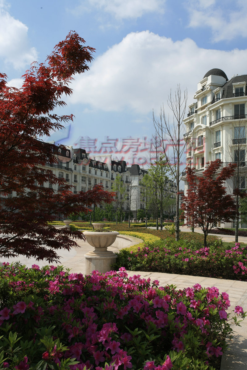 广厦天都城最新动态,多元视角审视发展进程