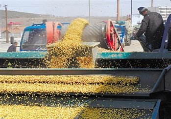 价格倒挂的秘密，小巷独特风味之旅探寻记