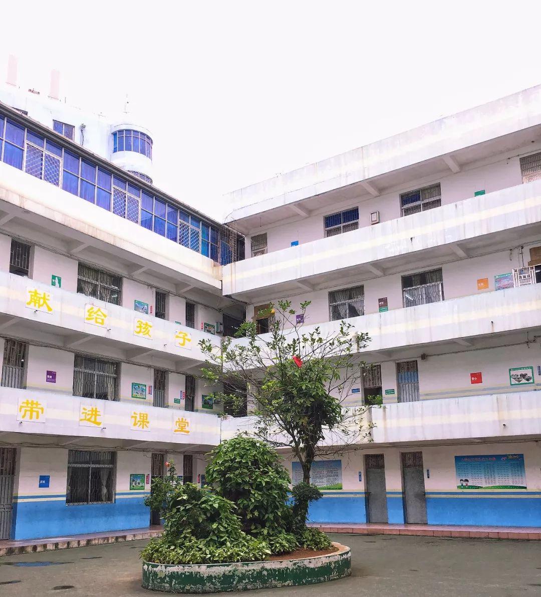 电视剧青春岁月