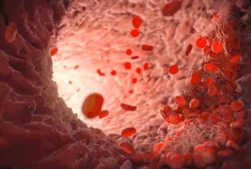 CF分期资讯更新